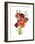 Renoncules, 2001-Claudia Hutchins-Puechavy-Framed Giclee Print