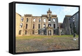 Renwick Smallpox Hospital, Roosevelt Island, New York-demerzel21-Framed Stretched Canvas