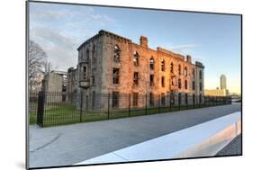 Renwick Smallpox Hospital, Roosevelt Island, New York-demerzel21-Mounted Photographic Print