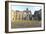 Renwick Smallpox Hospital, Roosevelt Island, New York-demerzel21-Framed Photographic Print