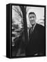 Rep. Adam Clayton Powel, Before Trip to Spain-Francis Miller-Framed Stretched Canvas