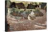 Repast in a Garden-Edouard Vuillard-Stretched Canvas