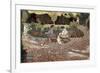 Repast in a Garden-Edouard Vuillard-Framed Art Print