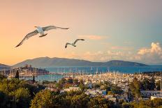 Yacht Sailing against Sunset. Holiday Lifestyle Landscape with Skyline Sailboat and Two Seagull. Ya-Repina Valeriya-Photographic Print