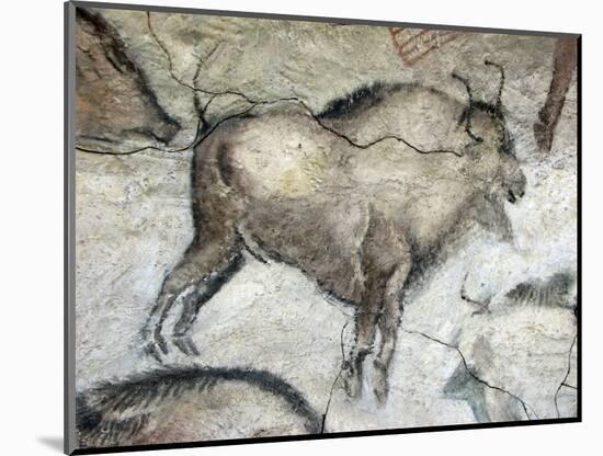 Replica of Cave Painting of Bison from Altamira Cave-null-Mounted Giclee Print