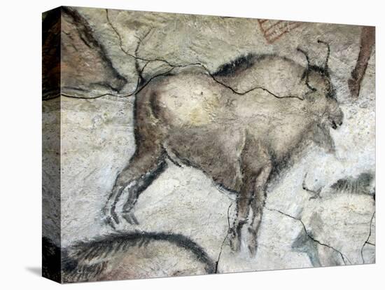 Replica of Cave Painting of Bison from Altamira Cave-null-Stretched Canvas