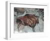 Replica of Cave Painting of Bison from Altamira Cave-null-Framed Giclee Print