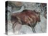 Replica of Cave Painting of Bison from Altamira Cave-null-Stretched Canvas