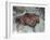 Replica of Cave Painting of Bison from Altamira Cave-null-Framed Giclee Print