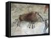 Replica of Cave Painting of Boar from Altamira Cave-null-Framed Stretched Canvas