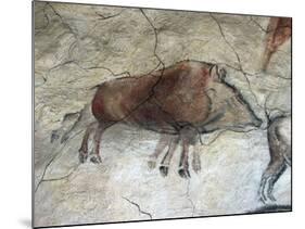 Replica of Cave Painting of Boar from Altamira Cave-null-Mounted Giclee Print