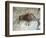 Replica of Cave Painting of Boar from Altamira Cave-null-Framed Giclee Print