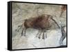 Replica of Cave Painting of Boar from Altamira Cave-null-Framed Stretched Canvas