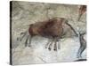 Replica of Cave Painting of Boar from Altamira Cave-null-Stretched Canvas