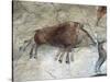 Replica of Cave Painting of Boar from Altamira Cave-null-Stretched Canvas