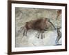 Replica of Cave Painting of Boar from Altamira Cave-null-Framed Giclee Print