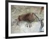 Replica of Cave Painting of Boar from Altamira Cave-null-Framed Giclee Print