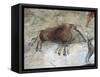 Replica of Cave Painting of Boar from Altamira Cave-null-Framed Stretched Canvas