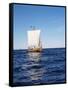 Replica of the Viking Oseberg Ship, Haholmen, West Norway, Norway, Scandinavia-David Lomax-Framed Stretched Canvas