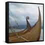 Replica Viking Ships, Oseberg and Gaia, Haholmen, West Norway, Norway, Scandinavia, Europe-David Lomax-Framed Stretched Canvas