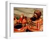 Replicas of Mayan Pottery For Sale, Joya de Ceren, El Salvador-Cindy Miller Hopkins-Framed Photographic Print