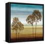 Repose II-Chris Donovan-Framed Stretched Canvas