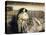 Repose-John Singer Sargent-Stretched Canvas