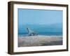 Repose-Simon Cook-Framed Giclee Print