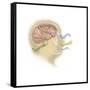 Representation of How Our Senses Affect Our Thoughts-null-Framed Stretched Canvas