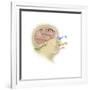 Representation of How Our Senses Affect Our Thoughts-null-Framed Art Print