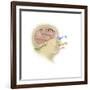 Representation of How Our Senses Affect Our Thoughts-null-Framed Art Print