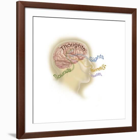 Representation of How Our Senses Affect Our Thoughts-null-Framed Art Print