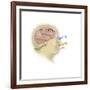 Representation of How Our Senses Affect Our Thoughts-null-Framed Art Print