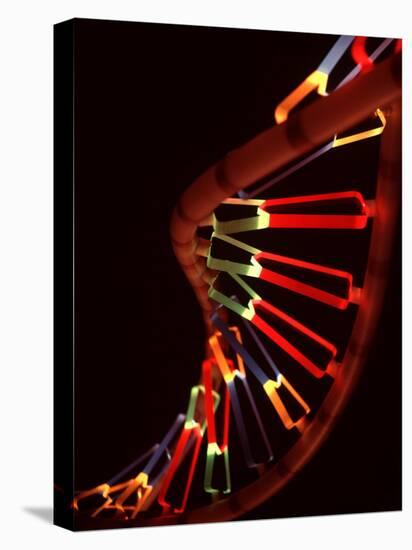 Representation of Segment of DNA Molecule Whose Order Spells Out Exact Set of Genetic Instructions-Fritz Goro-Stretched Canvas