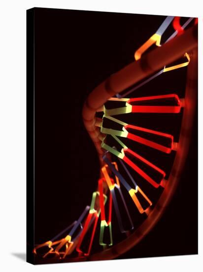 Representation of Segment of DNA Molecule Whose Order Spells Out Exact Set of Genetic Instructions-Fritz Goro-Stretched Canvas