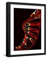 Representation of Segment of DNA Molecule Whose Order Spells Out Exact Set of Genetic Instructions-Fritz Goro-Framed Photographic Print