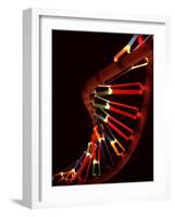 Representation of Segment of DNA Molecule Whose Order Spells Out Exact Set of Genetic Instructions-Fritz Goro-Framed Photographic Print