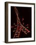 Representation Showing Double Helix Structure of a Segment of Dna Molecule-null-Framed Photographic Print