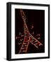 Representation Showing Double Helix Structure of a Segment of Dna Molecule-null-Framed Photographic Print