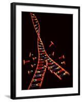 Representation Showing Double Helix Structure of a Segment of Dna Molecule-null-Framed Photographic Print