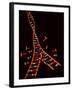 Representation Showing Double Helix Structure of a Segment of Dna Molecule-null-Framed Photographic Print