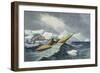 Representations of Shipping of all Classes and Nation, c.1850-Charles Hamilton Smith-Framed Giclee Print