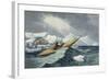 Representations of Shipping of all Classes and Nation, c.1850-Charles Hamilton Smith-Framed Giclee Print