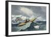 Representations of Shipping of all Classes and Nation, c.1850-Charles Hamilton Smith-Framed Giclee Print