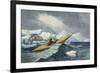 Representations of Shipping of all Classes and Nation, c.1850-Charles Hamilton Smith-Framed Giclee Print