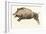Reproduction of a Prehistoric Painting Found in the Spanish Cave of Altamira Depicting a Boar.-null-Framed Giclee Print