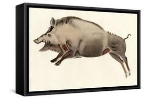 Reproduction of a Prehistoric Painting Found in the Spanish Cave of Altamira Depicting a Boar.-null-Framed Stretched Canvas