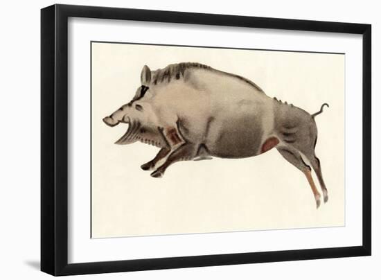 Reproduction of a Prehistoric Painting Found in the Spanish Cave of Altamira Depicting a Boar.-null-Framed Premium Giclee Print