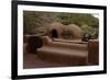 Reproduction of an Old Adobe Ovens for Making Bread, Petroglyph National Monument, United States-null-Framed Giclee Print