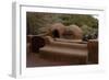 Reproduction of an Old Adobe Ovens for Making Bread, Petroglyph National Monument, United States-null-Framed Giclee Print